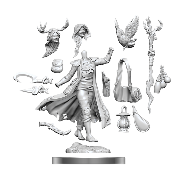 D&D Frameworks Human Druid Female