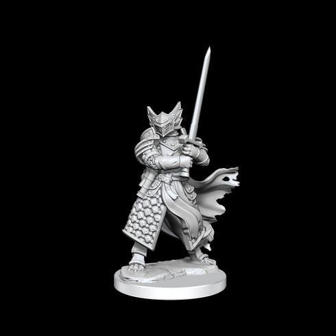 D&D Frameworks Dragonborn Paladin Male