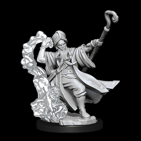 D&D Frameworks Human Wizard Male