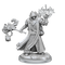 D&D Frameworks Human Cleric Male
