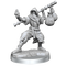 D&D Frameworks Human Monk Male