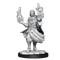 Critical Role Unpainted Miniatures Hollow One Rogue and Sorceror Male