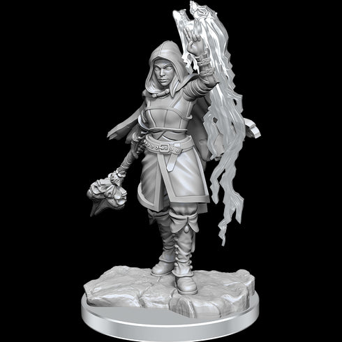 D&D Nolzurs Marvelous Miniatures Half-Elf Warlock