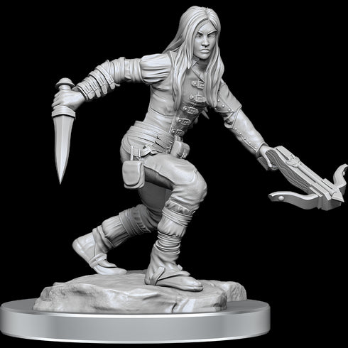 D&D Nolzurs Marvelous Unpainted Miniatures Half-Elf Rogue Female