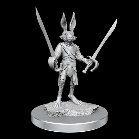 D&D Nolzurs Marvelous Unpainted Miniatures Harengon Rogues