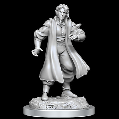 Critical Role Unpainted Miniatures Male Human Sorcerer Merchant & Tiger Demon