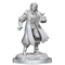 Critical Role Unpainted Miniatures Male Human Sorcerer Merchant & Tiger Demon