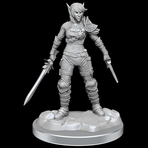 D&D Nolzurs Marvelous Miniatures Elf Rogue & Half-Elf Rogue Protege