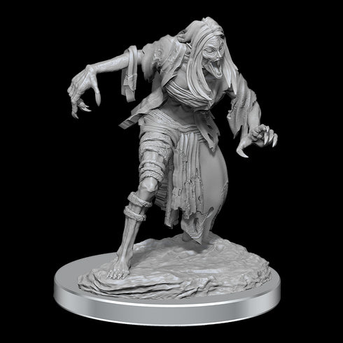 D&D Nolzurs Marvelous Miniatures Nosferatu