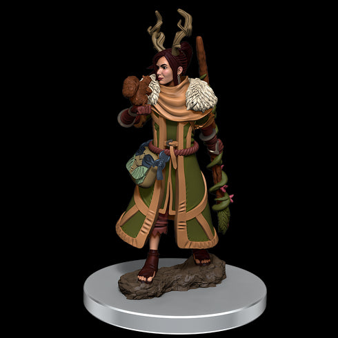D&D Premium Miniatures Wave 7 Human Druid Female