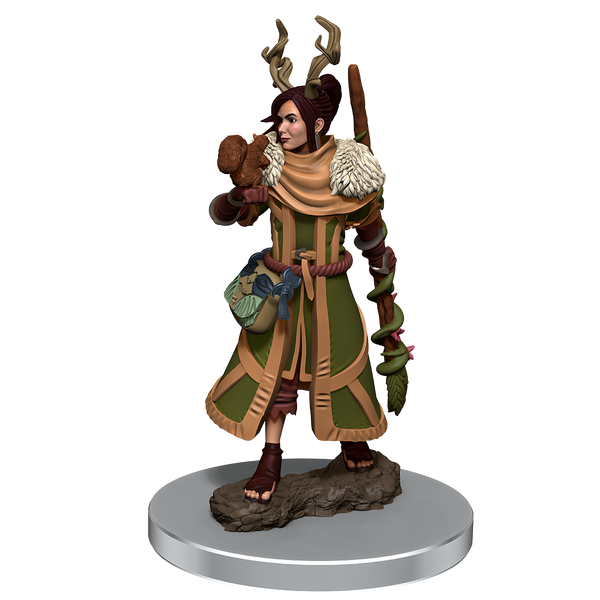 D&D Premium Miniatures Wave 7 Human Druid Female