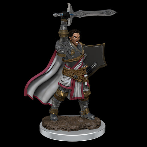D&D Premium Miniatures Wave 7 Human Paladin Male