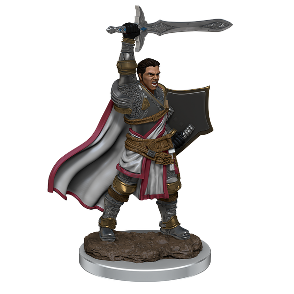 D&D Premium Miniatures Wave 7 Human Paladin Male