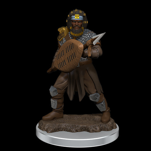 D&D Premium Miniatures Wave 7 Human Fighter Male