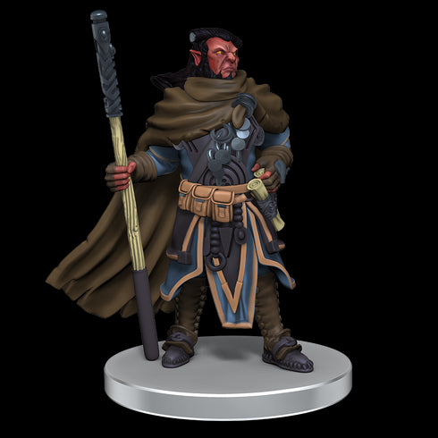 D&D Icons of the Realms Hobgoblin Warband