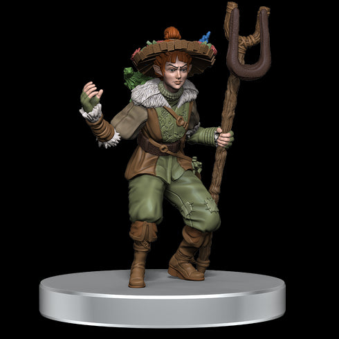 D&D Icons of the Realms Dragonlance Warrior Set