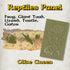 Arcknight Flat Plastic Miniatures - RPG Mini Mounts - Reptiles (Olive)