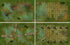 Box of Adventure RPG Maps & Tokens Coast of Dread