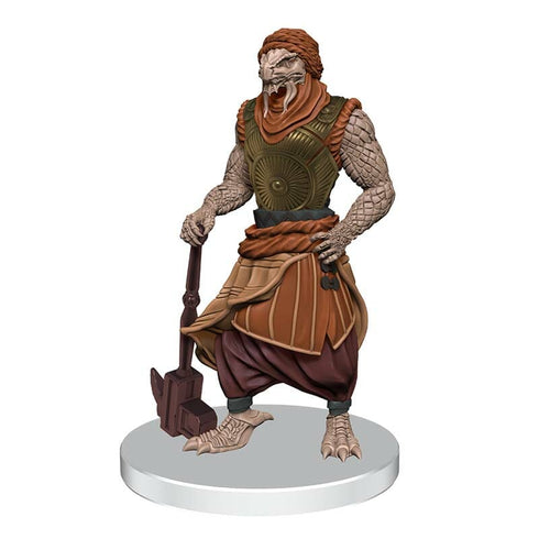 Critical Role Monsters of Wildemount Prepainted Miniatures Clovis Concord & Menagerie Coast Box Set