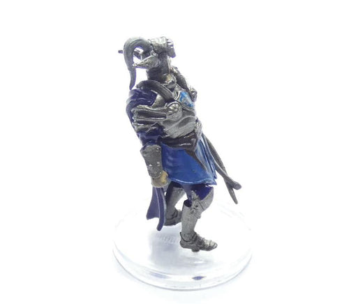 Strongheart The wild beyond the Witchlight Valor's Call