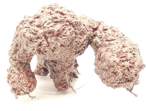 Zombie Clot, Van Richtens Guide to Ravenloft #27