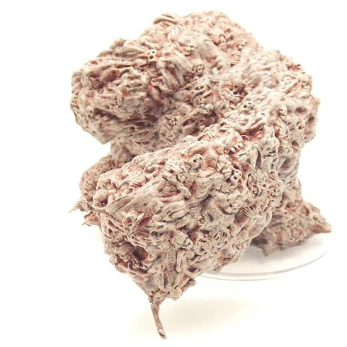 Zombie Clot, Van Richtens Guide to Ravenloft #27