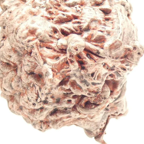 Zombie Clot, Van Richtens Guide to Ravenloft #27