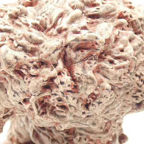 Zombie Clot, Van Richtens Guide to Ravenloft #27