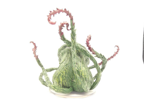 Bodytaker Plant, Van Richtens Guide to Ravenloft #33