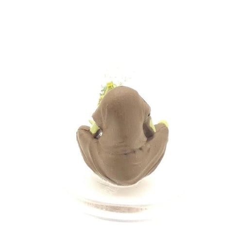 Mother Lorinda, Van Richtens Guide to Ravenloft #16