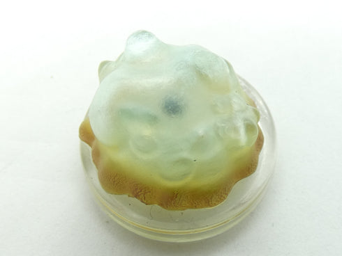 Giant Amoeba - Darklands Rising - Pathfinder/Dungeons & Dragons - #4