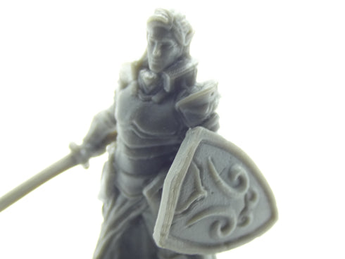 Blacklist Miniatures: Fantasy Series 1: Male Elf Paladin