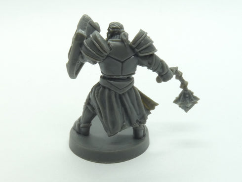 Blacklist Miniatures: Fantasy Series 1: Male Half-Orc Paladin