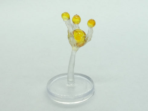 Will-o'-Wisp - Boneyard - Dungeons & Dragons - #4