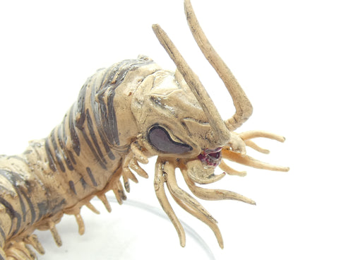 Carrion Crawler - Boneyard - Dungeons & Dragons - #26