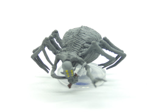 Choldrith - Volo's and Mordenkainen's Foes - 20/44