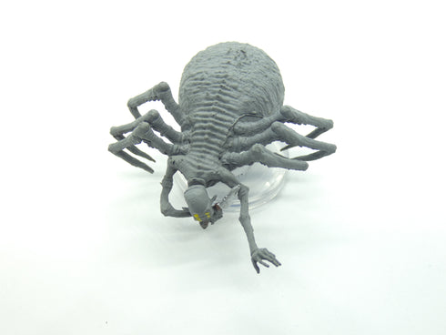 Choldrith - Volo's and Mordenkainen's Foes - 20/44