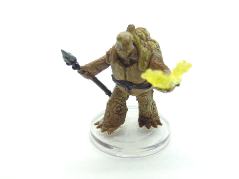 Tortle Druid - Volo's and Mordenkainen's Foes - 16/44