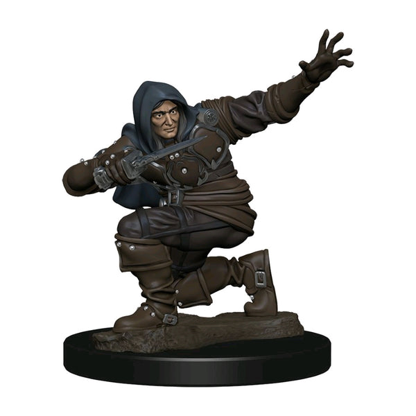Pathfinder Battles: Premium Miniatures Wave 1: Human Male Rogue
