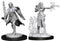D&D Nolzur's Marvelous Miniatures - Multiclass Warlock + Sorcerer - Unpainted