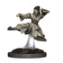 Icons of the Realms: D&D Premium Miniatures Wave 6: Human Monk - Female