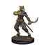 Icons of the Realms: D&D Premium Miniatures Wave 6: Tabaxi Rogue - Male