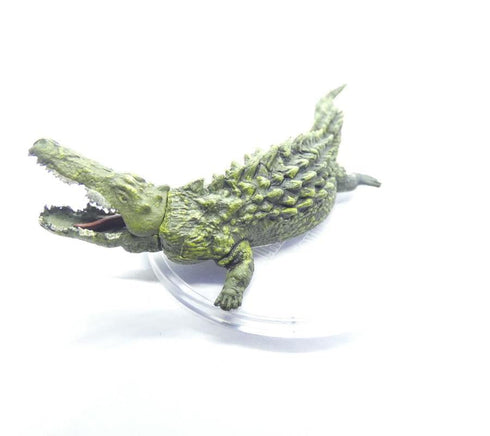 Thousand Teeth the Devourer Saltmarsh: Box 2 #7