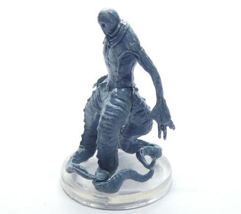 Skum Saltmarsh: Box 2 #6