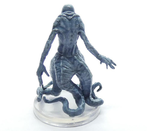 Skum Saltmarsh: Box 2 #6