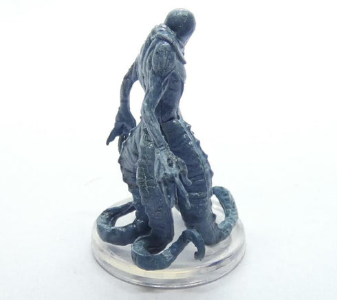 Skum Saltmarsh: Box 2 #6