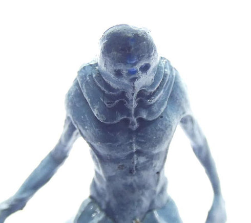 Skum Saltmarsh: Box 2 #6