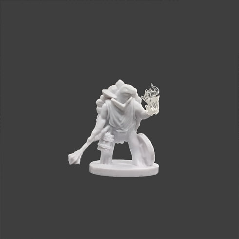 Krakenships Chellon (Tortle) Cleric - Unpainted