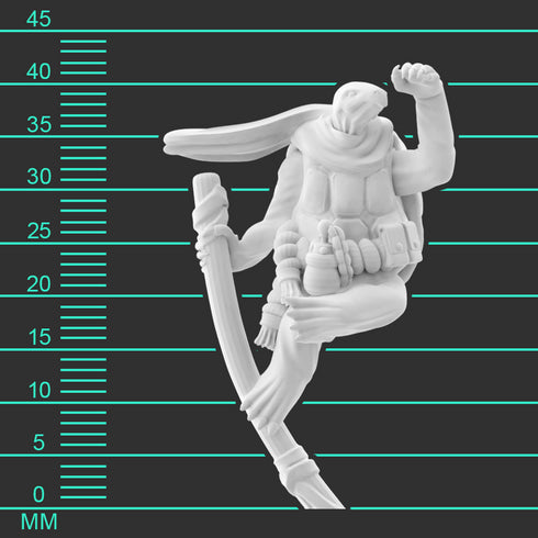 Krakenships Chellon (Tortle) Monk - Unpainted