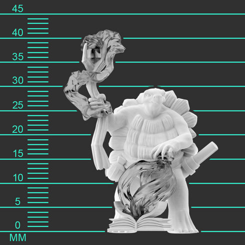 Krakenships Chellon (Tortle) Wizard - Unpainted